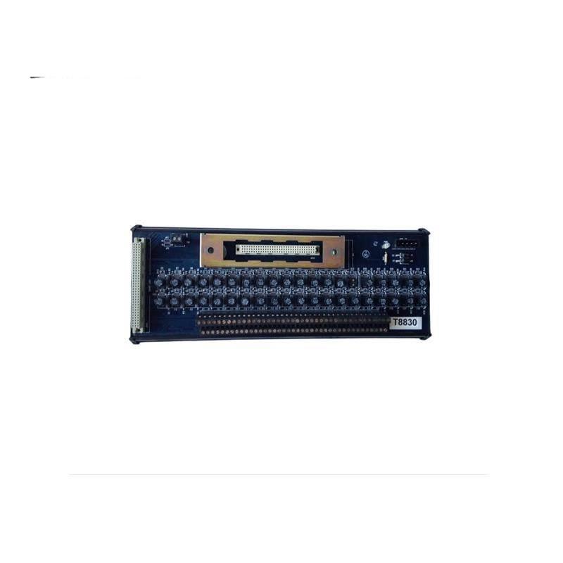 ICS TRIPLEX T8191