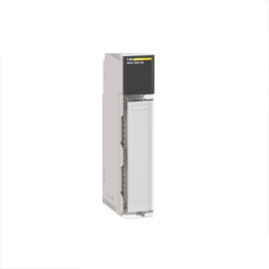 SCHNEIDER AS-BDAP-218
