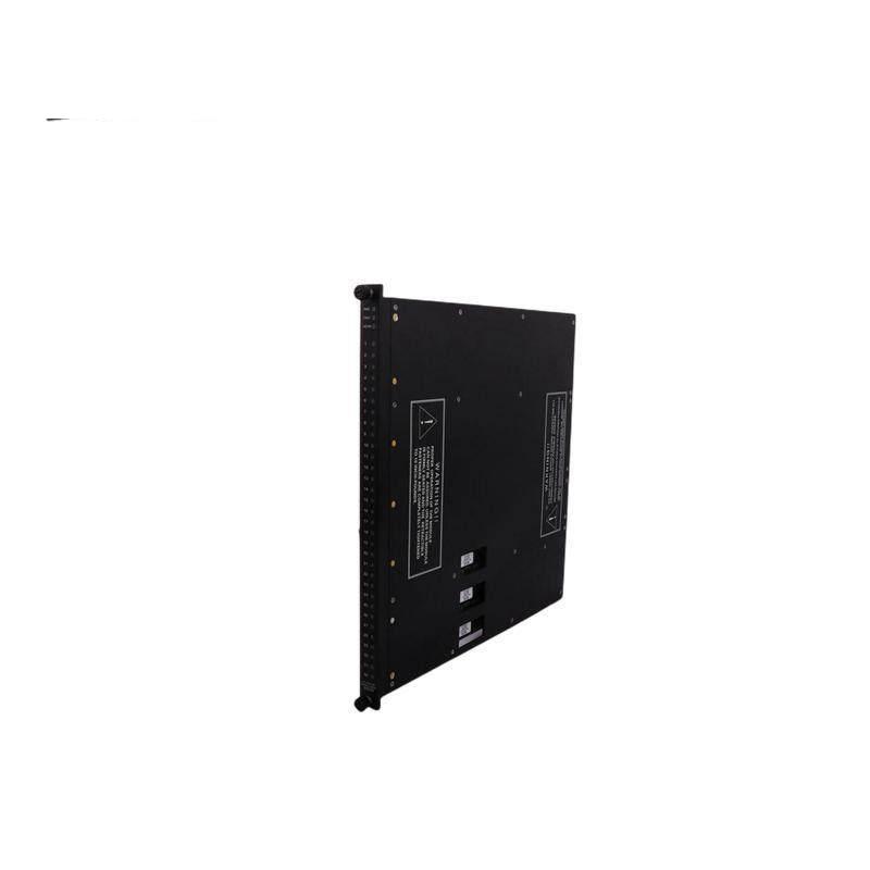 TRICONEX 4000093-110N
