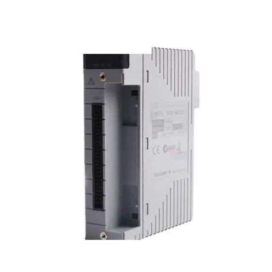 Yokogawa AAI543-S53 S1 Japan Origin