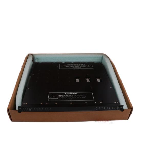 TRICONEX 3008N