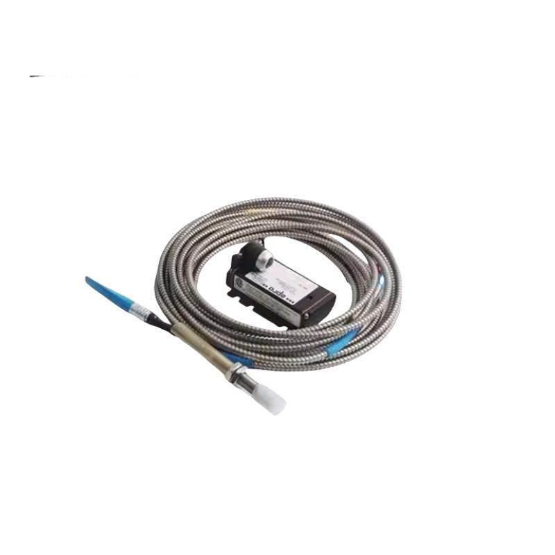 Emerson 2967620